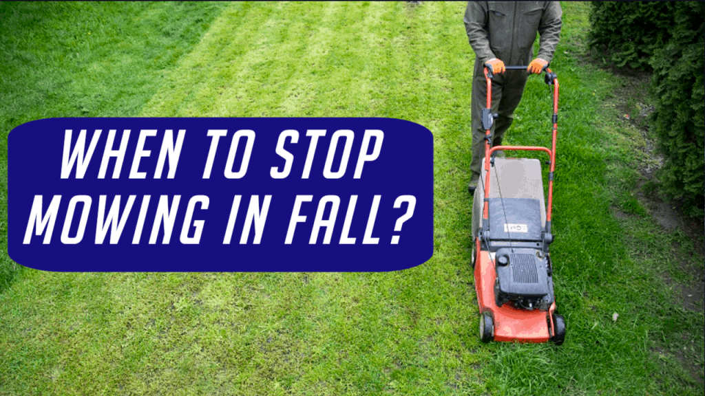When To Stop Mowing Lawn In Fall Here Is The Answer 