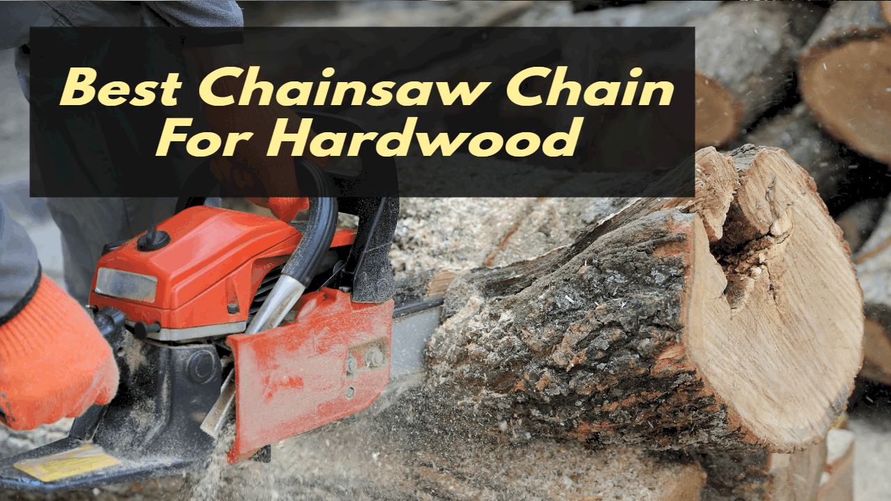Best Chainsaw Chain for Hardwood Top 5 Picks